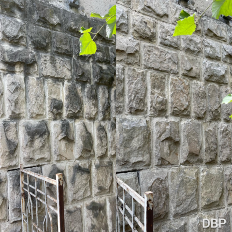 Blank 2 Grids Collage (5)